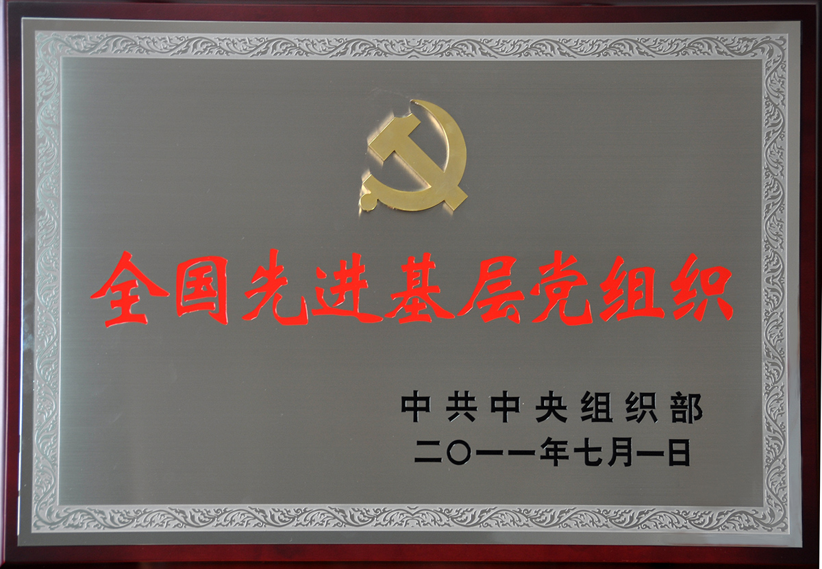 2011年7月，紅豆集團黨委榮獲“全國先進基層黨組織”稱號